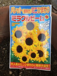 新人こばたのバタバタ日記　vol.23